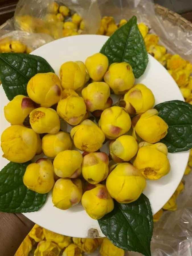 Hoa vàng sấy thăng hoa - Hợp Tác Xã Nông Sản Và Dược Liệu Minh Thảo